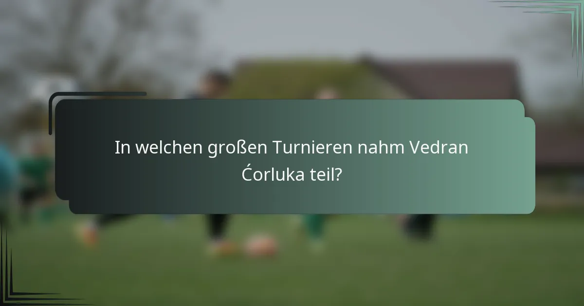 In welchen großen Turnieren nahm Vedran Ćorluka teil?