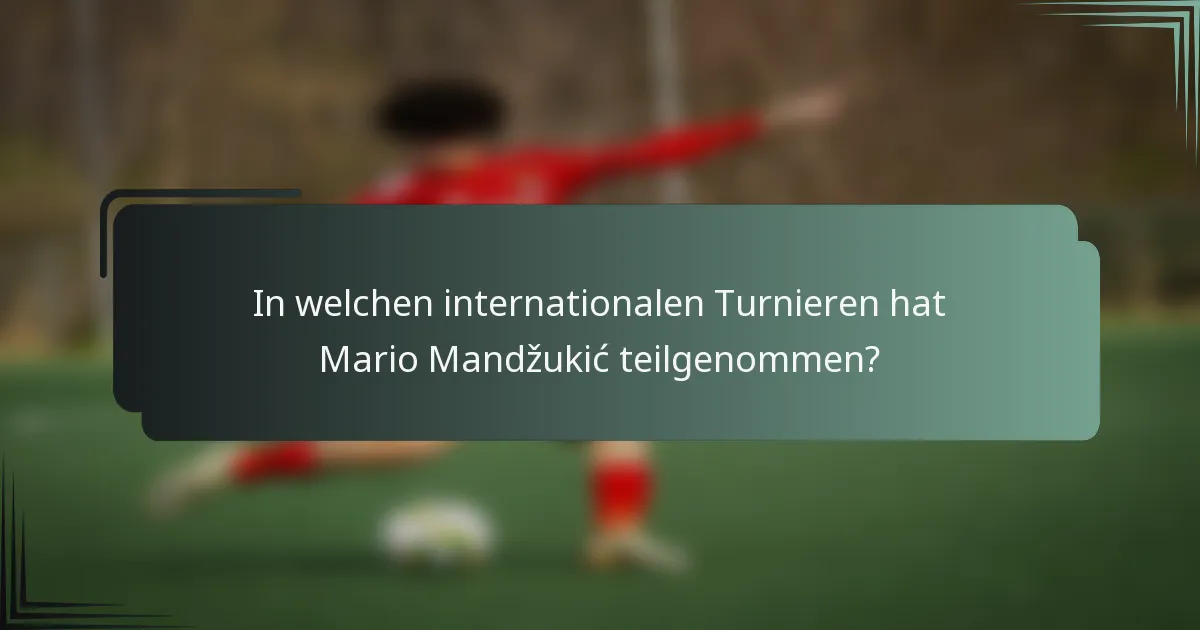 In welchen internationalen Turnieren hat Mario Mandžukić teilgenommen?